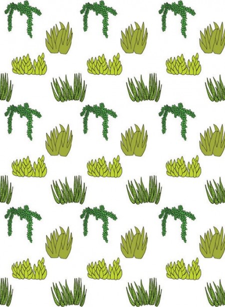 wallpaper-succulent-baines-fricker-thecollection